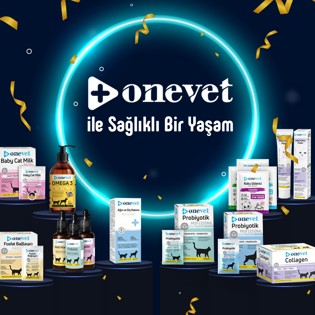 <strong>Onevet: Evcil Hayvan Sağlığında Yeni Bir Dönem</strong>