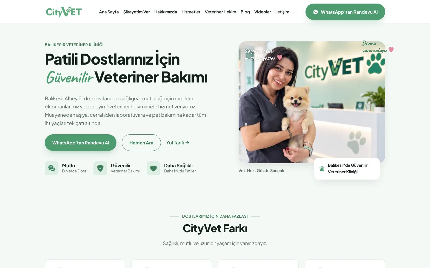 CityVet web sitesinin masaüstü ana sayfası